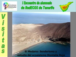 El Medano: Senderismo y  estudio del ecosistema Montaña Roja Visitas 