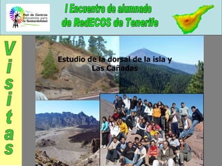 Estudio de la dorsal de la isla y Las Cañadas Visitas 