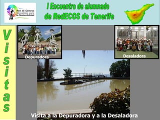 Depuradora Desaladora Visita a la Depuradora y a la Desaladora Visitas 