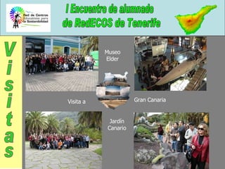 Museo Elder Jardín Canario Visita a  Gran Canaria Visitas 