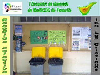 IES Los Cristianos Recogida selectiva 