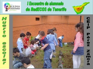 Huerto escolar CEIP Pérez Zamora 