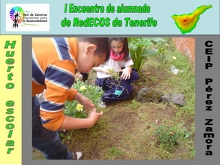 Huerto escolar CEIP Pérez Zamora 