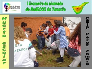 Huerto escolar CEIP Pérez Zamora 