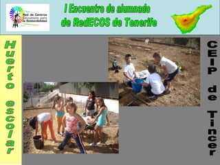 CEIP de Tincer Huerto escolar 