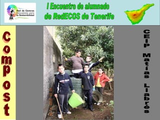 Compost CEIP Matías Llabrés 