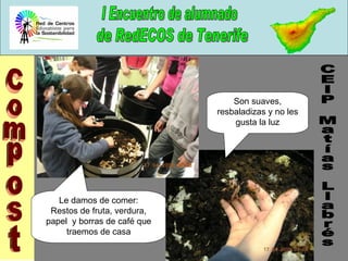 Son suaves, resbaladizas y no les gusta la luz Le damos de comer: Restos de fruta, verdura, papel  y borras de café que traemos de casa Compost CEIP Matías Llabrés 