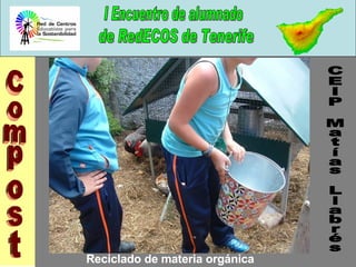 Compost CEIP Matías Llabrés Reciclado de materia orgánica 