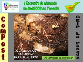 Compost CEIP La Pasada A CAMBIO NOS DAN ABONO PARA EL HUERTO LAS LOMBRICES DE CALIFORNIA 