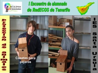 Protección de animales Casetas para pájaros IES Santa Ursula 