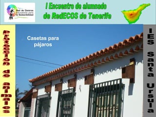 Protección de animales Casetas para pájaros IES Santa Ursula 
