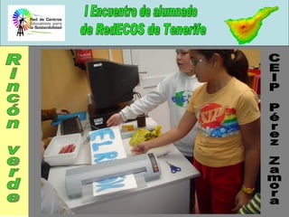 CEIP Pérez Zamora Rincón verde 