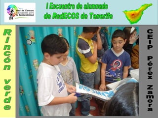 CEIP Pérez Zamora Rincón verde 