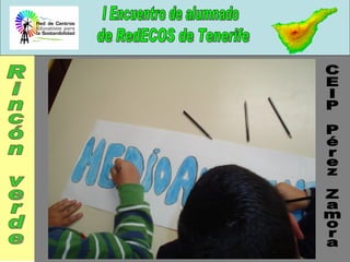 Rincón verde CEIP Pérez Zamora 