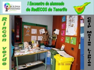 CEIP Matías Llabrés Rincón verde 