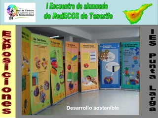 IES Punta Larga Exposiciones Desarrollo sostenible 