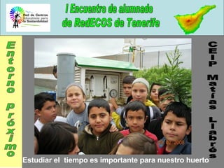 Estudiar el  tiempo es importante para nuestro huerto  CEIP Matías Llabrés Entorno próximo 