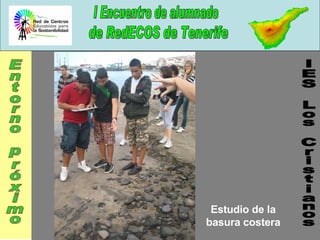 IES Los Cristianos Entorno próximo Estudio de la basura costera 