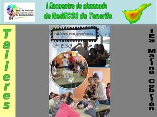 IES Marina Cebrián Talleres 