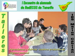 IES Marina Cebrián Talleres 