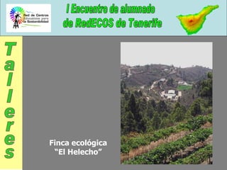 Finca ecológica “El Helecho” Talleres 
