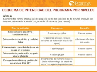 ESQUEMA DE INTENSIDAD DEL PROGRAMA POR NIVELES
NIVEL B
La intensidad horaria efectiva que se propone es de dos sesiones de 45 minutos efectivos por
semana, con una duración del programa de 12 semanas (tres meses)
Tipo de actividad Frecuencia Duración
Entrenamiento cognitivo-
comportamental
3 sesiones grupales 1 hora x sesión
Entrenamiento condición y cualidad
física
13 sesiones grupales ( incluye
sesiones de evaluación inicial y de
logros)
45 minutos efectivos
por sesión
Entrenamiento control de factores de
riesgo en el trabajo
1 sesión grupal 1 hora x sesión
Entrenamiento y educación en gesto
laboral eficiente
1 sesión grupal 1 hora x sesión
Entrega de resultados y gestión del
programa a área SST
Dependiendo del número de casos
(debe incluir entrega de bases de
datos con reporte de participantes)
 