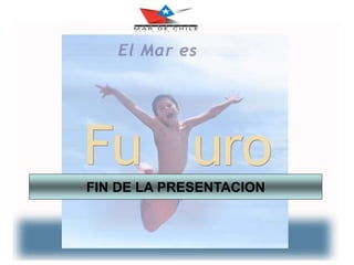 FIN DE LA PRESENTACION
 