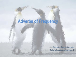Adverbs of Frequency
Teacher: Diana Sobrado
Tutorial course: Grammar I
 