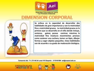 Se enfoca en la capacidad de desarrollar dos
habilidades de gran importancia y son la motricidad
fina y motricidad gruesa. La motricidad gruesa es la
primera que se desarrolla en el niño donde incluye,
sentarse, gatear, parase caminar, mientras la
motricidad fina involucra movimientos precisos
como sostener una cuchara, tomar un lápiz, dibujar
formas y coger objetos pequeños. Estas habilidades
van de acuerdo a su grado de maduración biológica.
 