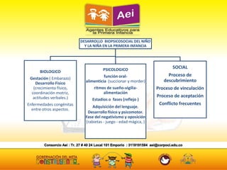 DESARROLLO BIOPSICOSOCIAL DEL NIÑO
Y LA NIÑA EN LA PRIMERA INFANCIA
BIOLOGICO
Gestación ( Embarazo)
Desarrollo Físico
(crecimiento físico,
coordinación motriz,
actitudes verbales.)
Enfermedades congénitas
entre otros aspectos.
PSICOLOGICO
función oral-
alimenticia (succionar y morder)
ritmos de sueño-vigilia-
alimentación
Estadios o fases (reflejo )
Adquisición del lenguaje.
Desarrollo físico y psicomotor.
Fase del negativismo y oposición
(rabietas - juego - edad mágica, )
SOCIAL
Proceso de
descubrimiento
Proceso de vinculación
Proceso de aceptación
Conflicto frecuentes
 
