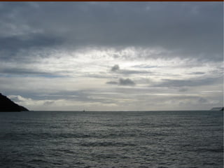 Os nosos protagonistas chegan ao gran río, dende un dos seus afluentes, o río Napo.  . 