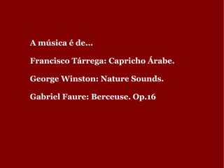 A través destes ríos navegables, as grandes  autoestradas da amazonia, alcanzarán á costa atlántica que marca o remate da viaxe... 