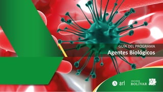 GUÍA DEL PROGRAMA
Agentes Biológicos
 