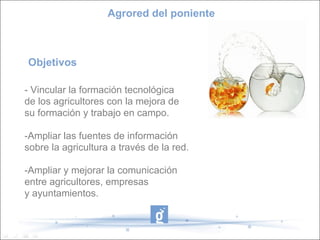 Agrored del poniente



Objetivos

- Vincular la formación tecnológica
de los agricultores con la mejora de
su formación y trabajo en campo.

-Ampliar las fuentes de información
sobre la agricultura a través de la red.

-Ampliar y mejorar la comunicación
entre agricultores, empresas
y ayuntamientos.
 