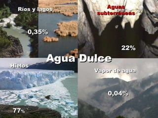 Ríos y lagos 0,35% Aguas subterráneas 22% Hielos 77 % Vapor de agua 0,04% Agua Dulce 