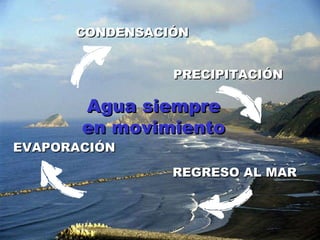 EVAPORACIÓN CONDENSACIÓN PRECIPITACIÓN REGRESO AL MAR Agua siempre en movimiento 