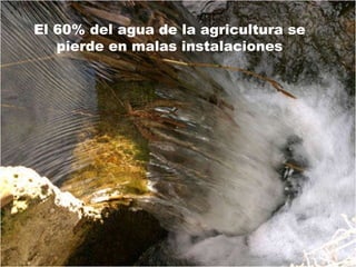 El 60% del agua de la agricultura se pierde en malas instalaciones 