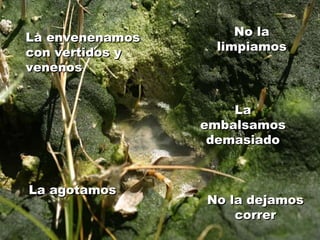 La envenenamos con vertidos y venenos La agotamos No la limpiamos No la dejamos correr La embalsamos demasiado 