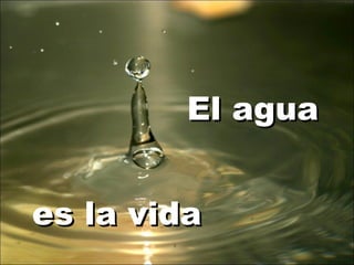 es la vida El agua 