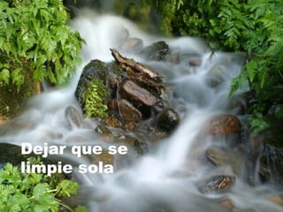 Dejar que se limpie sola 