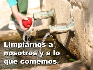 Limpiarnos a nosotros y a lo que comemos 