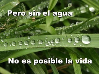 Pero sin el agua No es posible la vida 
