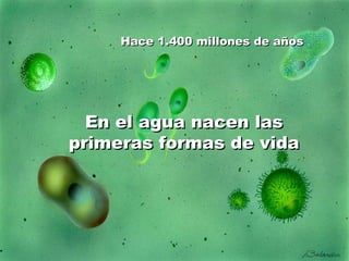 Hace 1.400 millones de años En el agua nacen las primeras formas de vida 
