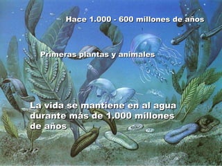 Hace 1.000 - 600 millones de años La vida se mantiene en al agua durante más de 1.000 millones de años Primeras plantas y animales 