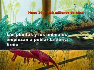 Las plantas y los animales empiezan a poblar la tierra firme Hace 345 - 280 millones de años 