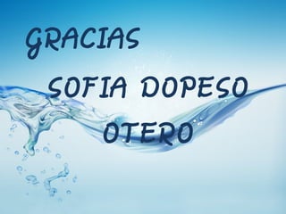 GRACIAS
SOFIA DOPESO
OTERO

 