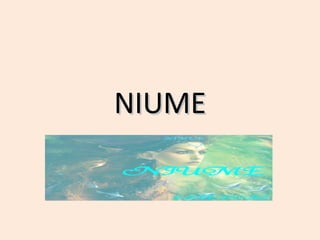 NIUME
 