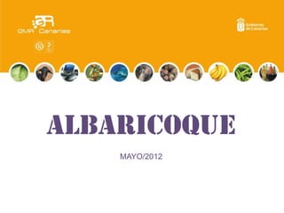 ALBARICOQUE
MAYO/2012
 