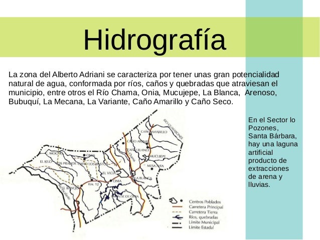 Flora Y Fauna Del Municipio Alberto Adriani | presentaci 243 n municipio alberto adriani Flora Y Fauna Del Municipio Alberto Adriani | presentaci 243 n municipio alberto adriani