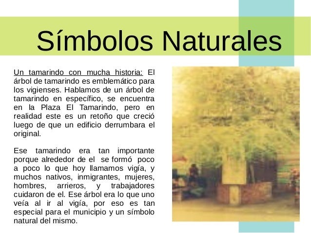 Simbolos Naturales De El Vigia | presentaci 243 n municipio alberto adriani Simbolos Naturales De El Vigia | presentaci 243 n municipio alberto adriani